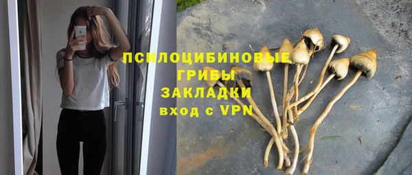 тгк Баксан